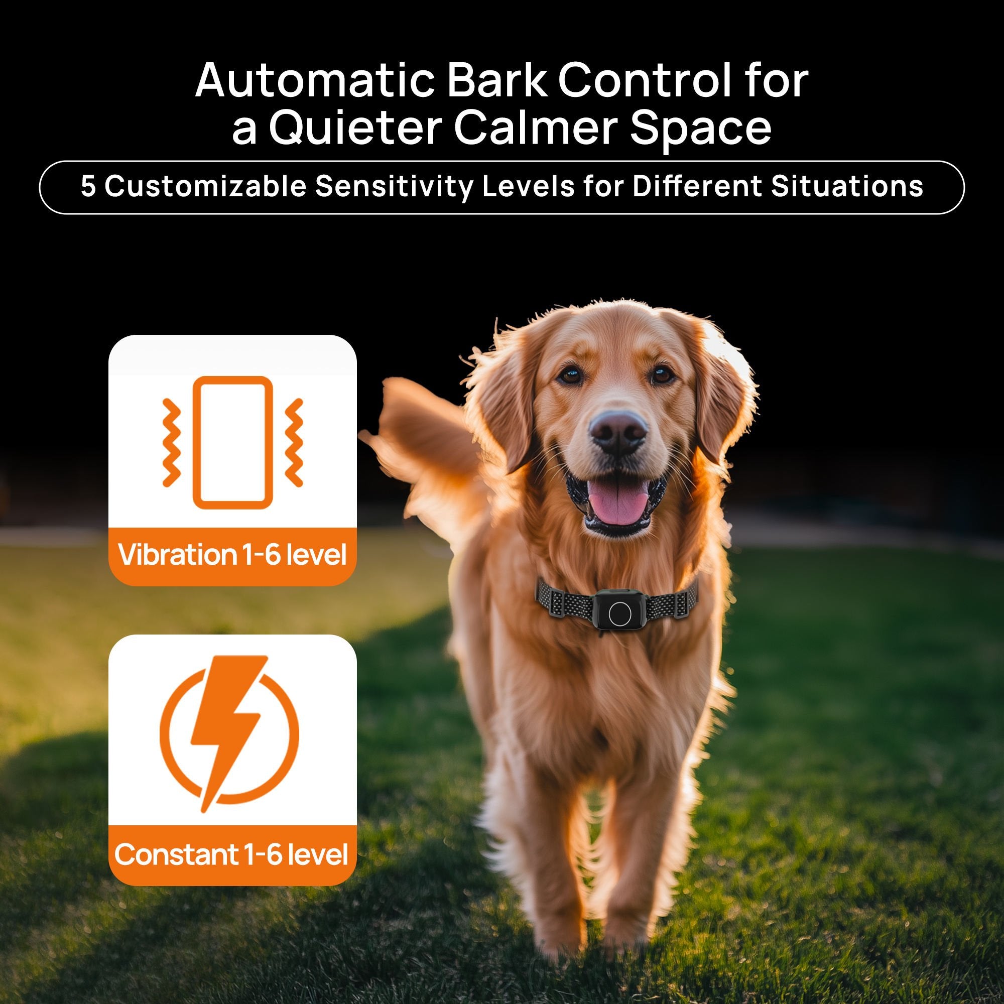 Bark Control
